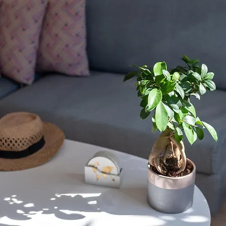 Casa Elemar With Private Yard Βίλα