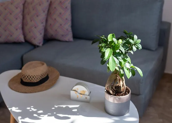 Casa Elemar With Private Yard Villa